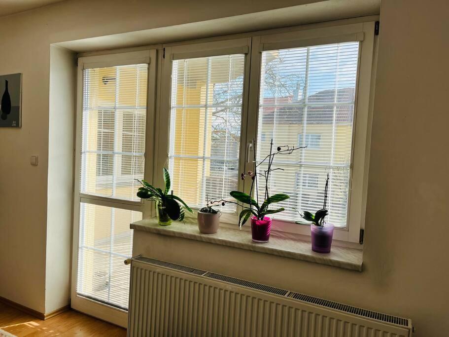 Harrison Homes 01 * Praha