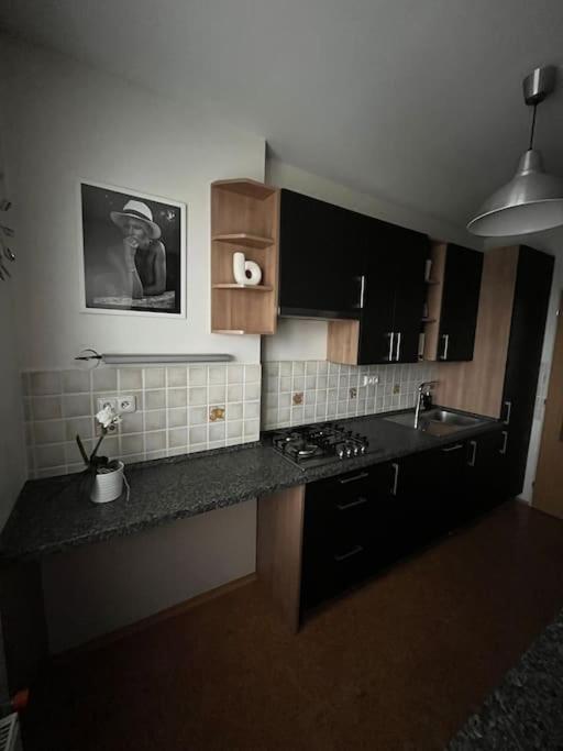 Apartmán Harrison Homes 01 *